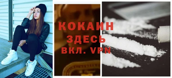 дживик Арсеньев
