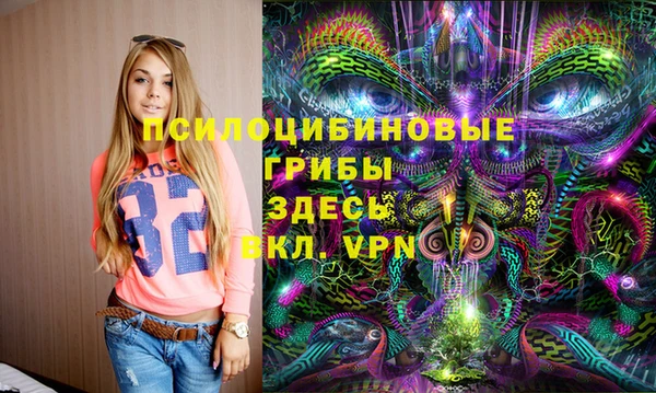 мдпв Армянск