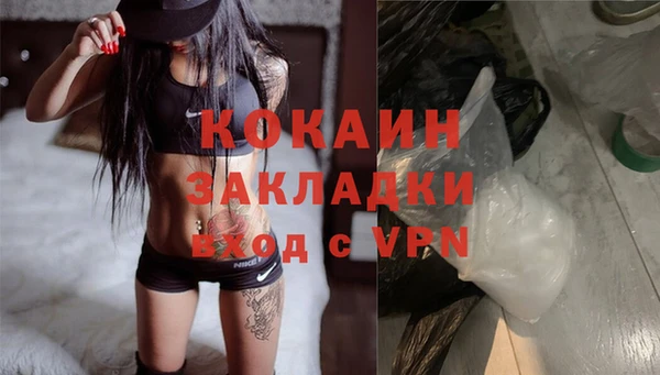 дживик Арсеньев