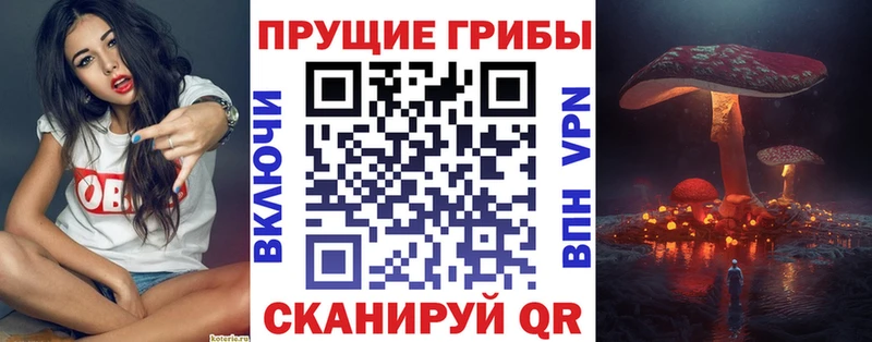 Псилоцибиновые грибы Magic Shrooms кракен рабочий сайт Темрюк